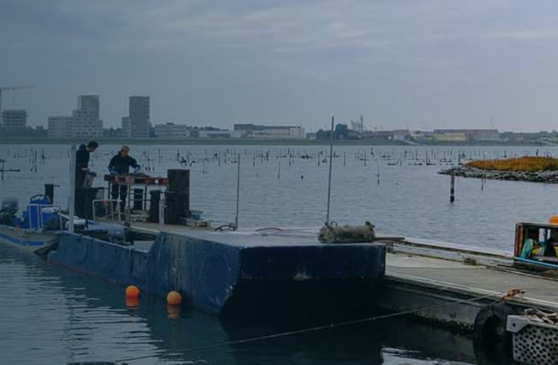 Oesterput Oostende